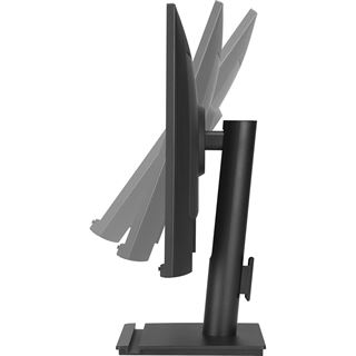 24.1" (61,21cm) Asus BE248QF schwarz 1920x1200 1xDisplayPort 1.4