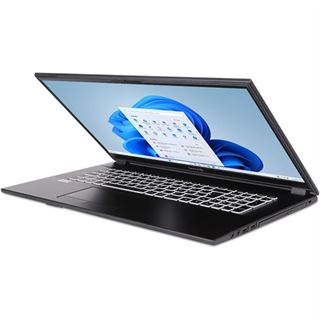 Notebook 17.3" (43,94cm) Terra MOBILE 1716R i5-1334U W11