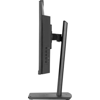 23,8" (60,47cm) iiyama ProLite XUB2490HSUH-B2 schwarz 1920x1080