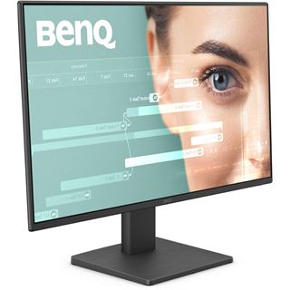 23,8" (60,47cm) BenQ GW2491 schwarz 1920x1080 1x DisplayPort 1.2