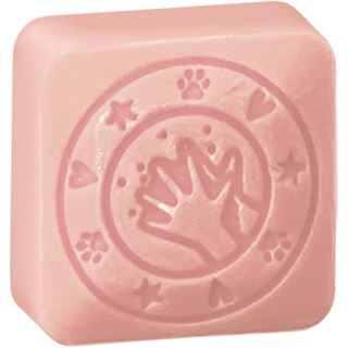 COLOP little NIO Cleany Stamp Leo retail