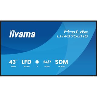 42.5" (107,95cm) iiyama ProLite LH4375UHS-B2AG schwarz 3840x2160