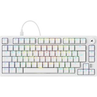 Sharkoon Gaming Tastatur Skiller SGK25 weiß DE