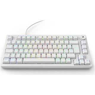 Sharkoon Gaming Tastatur Skiller SGK25 weiß DE