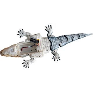 Amewi Croco das kleine Krokodil 370mm 4-Kanal RTR