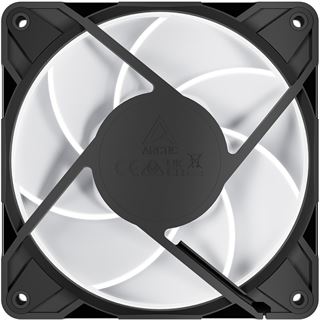 120x120x25mm Arctic Lüfter P12 Pro A-RGB