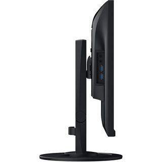24.1" (61,21cm) EIZO FlexScan EV2410R schwarz 1920x1200