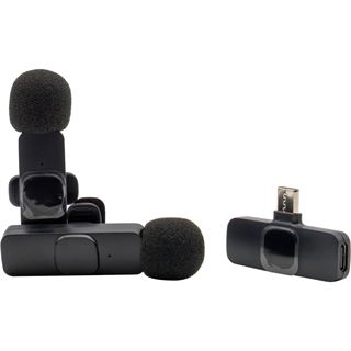 Realpower HS-1,Wireless Microphone,2 Mikrofone,1 Empf&auml;nger