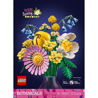 LEGO Botanicals Kleiner Sommerstrau&szlig;