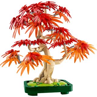 LEGO Botanicals Japanischer Roter Ahorn - Bonsai-Baum