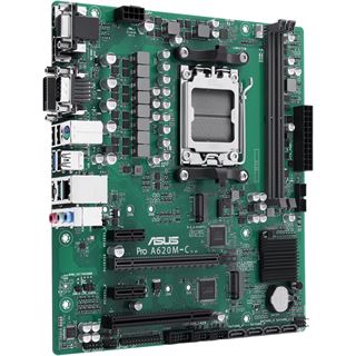 Asus PRO A620AT-CSM