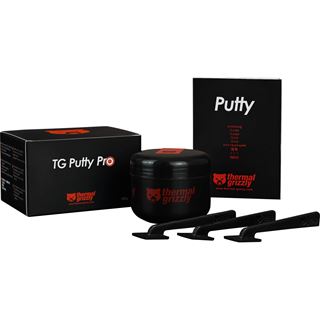 (&euro;798,50*/1kg) Thermal Grizzly Putty Pro Waermeleitpaste 100g