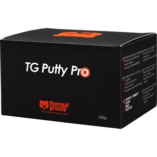 (&euro;798,50*/1kg) Thermal Grizzly Putty Pro Waermeleitpaste 100g