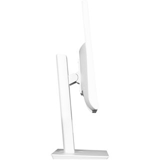 23,8" (60,47cm) Neovo ME-2401 Wei&szlig; 1920x1080 1xDisplayPort
