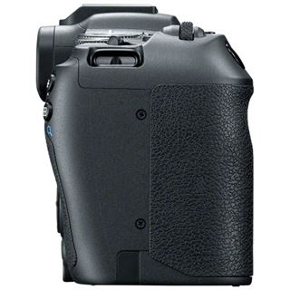 Canon EOS R8 + RF 24-50mm