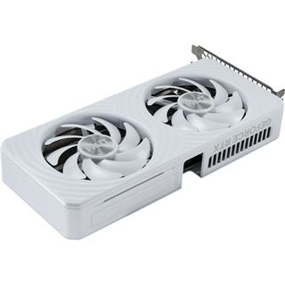 8GB Palit GeForce RTX 5060 White OC Aktiv PCIe 5.0 x16 (x8) (Retail)
