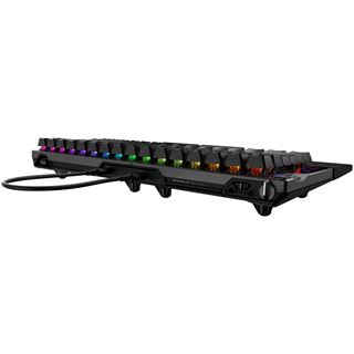 Asus ROG Falcata DE