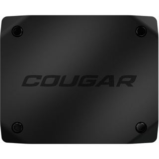Cougar Video Capture Card, Envision
