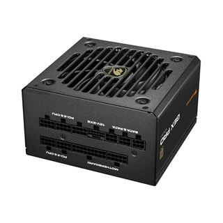 650 Watt Cougar GEX PRO ATX3.1 / 80 Plus Gold / Modular