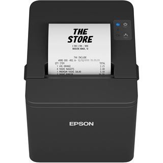 Epson TM-T20IV (101): USB +