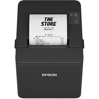Epson TM-T20IV (101): USB +