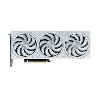 12GB Palit GeForce RTX 5070 White OC Aktiv PCIe 5.0 x16 (Retail)