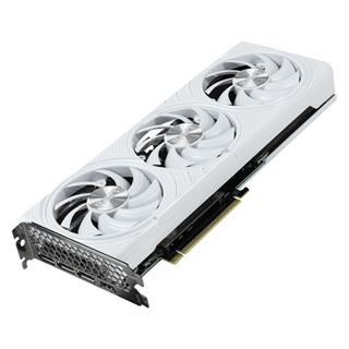12GB Palit GeForce RTX 5070 White OC Aktiv PCIe 5.0 x16 (Retail)
