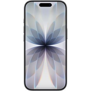 Apple iPhone 17 256 GB schwarz MG6J4ZD/A