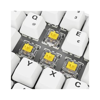 Sharkoon Gaming Tastatur Skiller SGK50S4 Gen2 PBT wei-gelRGB