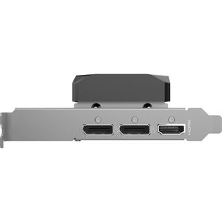 8GB ZOTAC GeForce RTX 5060 Low Profile Aktiv PCIe 5.0 x16 (x8)