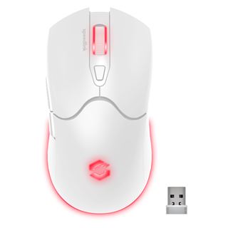 Speedlink Gaming Maus VELOX, aufladbar, kabellos, RGB, ws retail