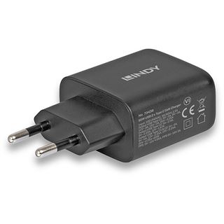 Lindy 65W USB 2 x Type C GaN Charger mit EU-Stecker