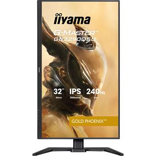 31.5" (80,01cm) iiyama G-MASTER GB3290QSU-B1 Gold Phoenix