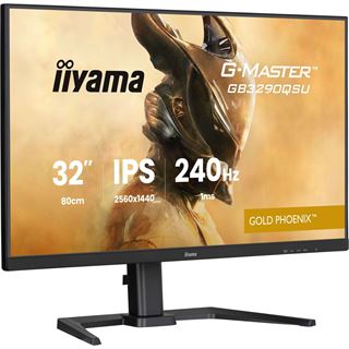 31.5" (80,01cm) iiyama G-MASTER GB3290QSU-B1 Gold Phoenix