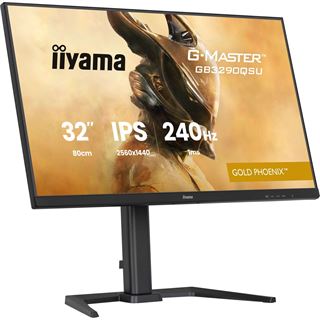 31.5" (80,01cm) iiyama G-MASTER GB3290QSU-B1 Gold Phoenix