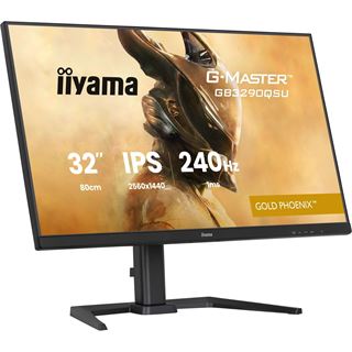 31.5" (80,01cm) iiyama G-MASTER GB3290QSU-B1 Gold Phoenix