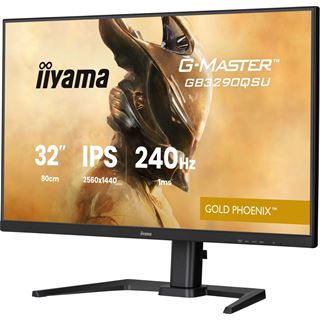 31.5" (80,01cm) iiyama G-MASTER GB3290QSU-B1 Gold Phoenix
