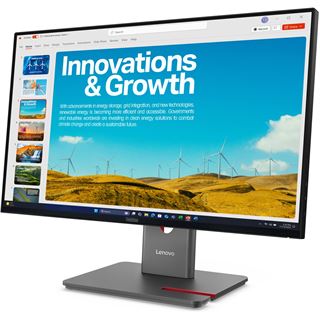 23,8" (60,47cm) Lenovo ThinkVision 64B1GAT1EU schwarz 2560x1440