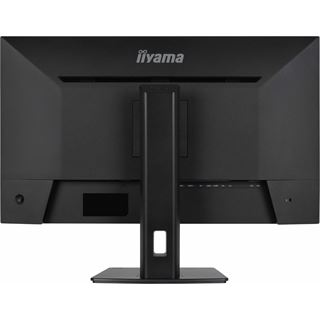 31.5" (80,01cm) iiyama ProLite XB3294UHSCP-B1 schwarz 3840x2160