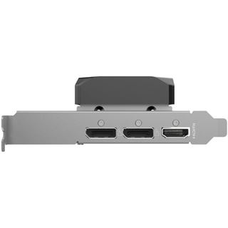 8GB ZOTAC GeForce RTX 5050 Low Profile Aktiv PCIe 5.0 x16 (x8)