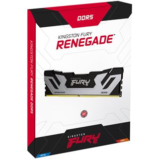 48GB (2x 24GB) Kingston FURY Renegade schwarz/silber DDR5 8800MT/S