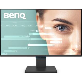 23,8" (60,47cm) BenQ GW2490C schwarz 1920x1080 1x DisplayPort