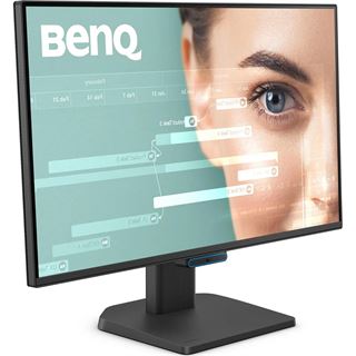 23,8" (60,47cm) BenQ GW2490C schwarz 1920x1080 1x DisplayPort