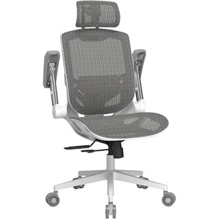 Cougar Gaming/Office-Stuhl Speeder One, Mesh, Wei&szlig;