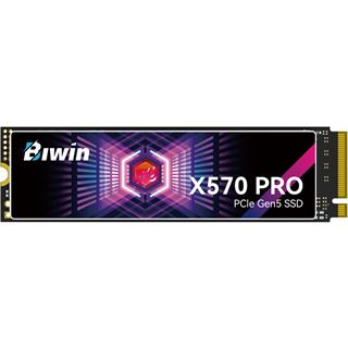 1TB Biwin BX570DN01TB-RGX (PCIe5.0/M.2 2280)