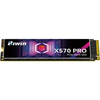 1TB Biwin BX570DN01TB-RGX (PCIe5.0/M.2 2280)