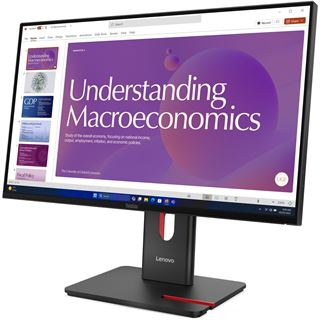 23,8" (60,47cm) Lenovo ThinkVision T24D-40 schwarz 1920x1080