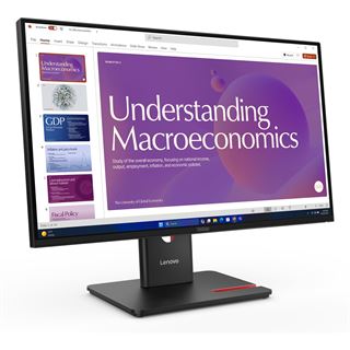 23,8" (60,47cm) Lenovo ThinkVision T24D-40 schwarz 1920x1080