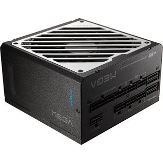 1000 Watt FSP Group Mega GM ATX 80+Gold