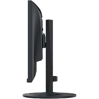 23,8" (60,47cm) EIZO FlexScan EV2400R schwarz 1920x1080